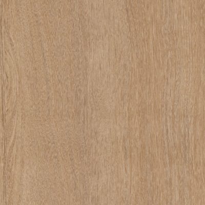 Latino Oak - Studio Collection