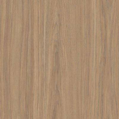 Prime Oak - Studio Collection